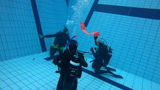 Lancio del pedagno durante le lezioni in piscina del Laboratorio di Subacquea Scientifica 2021 [upl. by Nonie804]