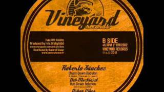 Roberto Sanchez quotChant Down Babylonquot  Dubmix part2 by Dub Machinist  Vineyard Records [upl. by Noerb]