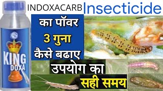 King Doxa insecticide  Indoxacarb 145 Sc  Gharda king doxa insecticideBrinjal insects control [upl. by Cirde]