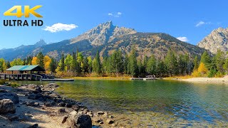 Grand Teton National Park Autumn Colors Scenic Drive 4K [upl. by Clauddetta]