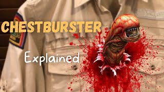 ChestBurster  Explained Alien Lore [upl. by Wessling]