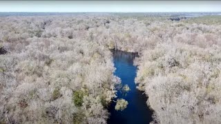 Florida Fossil Hunt with Local YouTubers [upl. by Negaet18]