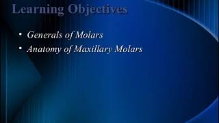 Morphology Of Maxillary Molars  Full Version [upl. by Kulsrud603]