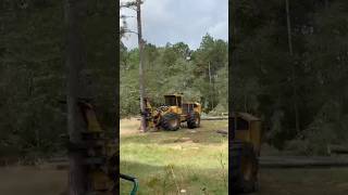 Tigercat 720G Wheel Feller Buncher At Work fellerbuncher felling forest logging [upl. by Naillimxam]