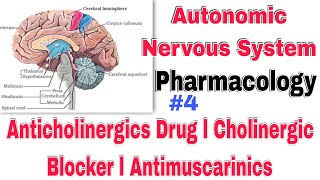 anticholinergic drug classification in Hindi। Cholinergic Blocker Antimuscarinics drugs [upl. by Elspet]