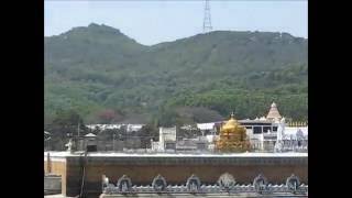 THIRUMALA BALAJI TEMPLE [upl. by Jonathan]