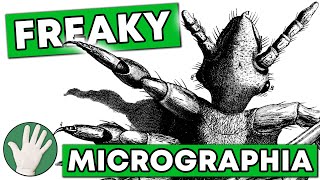 Freaky Micrographia  Objectivity 43 [upl. by Yttiy]