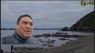 Kina Diving In The Bay Of Islands Ep 49 [upl. by Nivag]