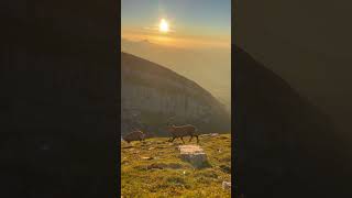 Majestätische Gipfel und der Walensee im Abendlicht – Aufnahmen die verzaubern 🏞✨ [upl. by Flori]