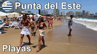 Playas de Punta del Este 🇺🇾🏝️ Como son La Mansa puntadeleste uruguay [upl. by Richard]