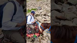 Dudipatsar lake trek on Horses 🐎 [upl. by Laflam433]