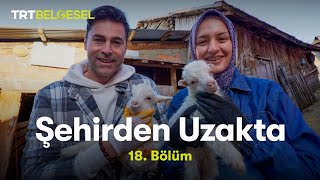 Şehirden Uzakta  Bolu  Fırınlık Köyü  TRT Belgesel [upl. by Ehttam]