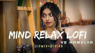 ve kamelya Arjit singh lofi song lyrics 🎶  lofi version muhusup song 😘 [upl. by Lenna551]