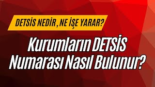 DETSİS Nedir Nasıl Bulunur [upl. by Tumer]