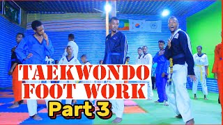 Taekwondo foot Work With Sabom Gezish part 3 [upl. by Nilram]