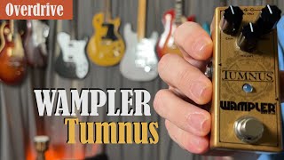 New Pedal Day  Wampler Tumnus Transparent Overdrive [upl. by Huebner]