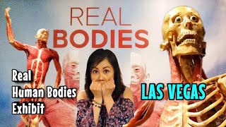 Inside the Creepiest Exhibit in Las Vegas  Real Bodies at Horseshoe Las Vegas [upl. by Selina]