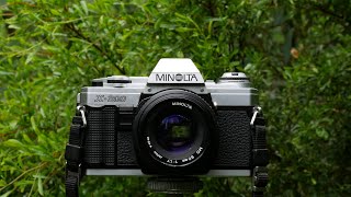 Minolta X 300 35mm Film SLR [upl. by Xena]