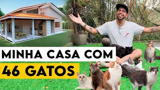 VIVENDO COM 46 GATOS  O PAI DOS GATOS [upl. by Neehar]