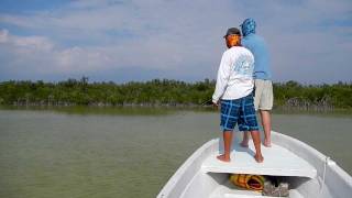 Tailing Permit Following a Fly [upl. by Cart]