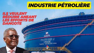 Aliko DANGOTE dans la tourmente avec sa raffinerie de pétrole [upl. by Nevuer487]