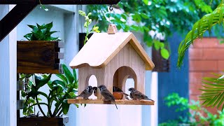 Build a Bird House in Just 1 Hour with EASY Wooden Plans [upl. by Omsoc396]