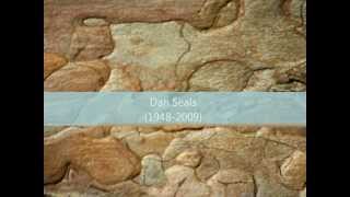 Dan Seals  Wood [upl. by Ardnod]