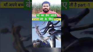 मां तो मां होती हैं 🤯✨😲 challenge short magic letsmagic [upl. by Essined]