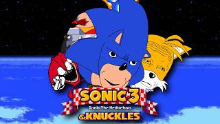 Sonic the Hedgehog 3 amp Knuckles  Infinite Lives Cheat [upl. by Aztinaj]