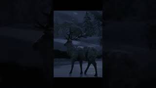 WAPITI INAHME ANIMAL LEGENDAIRE NATURALISTE RED DEAD ONLINE [upl. by Temhem]