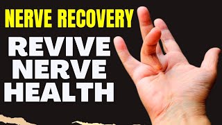 Nerve Damage Recovery 5 Vital Vitamins for Regeneration [upl. by Arhat844]