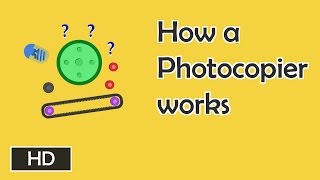 How photocopiers work [upl. by Nanon]