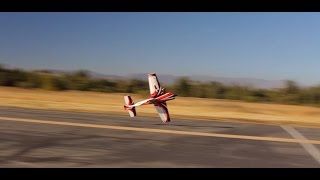 Team Pilot Orel quotJazzy Handsquot Elbaz Throwing Down With The Aerobeez Extra 330SC [upl. by Knute]