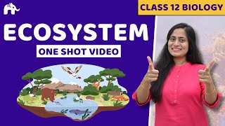 Ecosystem Class 12 One Shot  Biology NCERT Chapter 12  CBSE NEET [upl. by Urbannal]