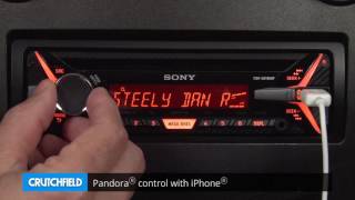 Sony CDXG3150UP Display and Controls Demo  Crutchfield Video [upl. by Ardnas711]