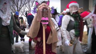 The Mummers Parade  St Johns Newfoundland and Labrador [upl. by Eceinahs]