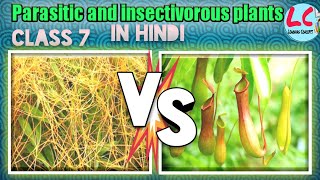 Parasitic and Insectivorous plants  Science  Class 7  in Hindi [upl. by Ainahs967]