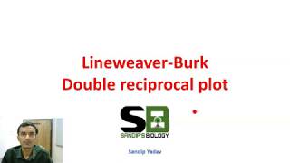 Lineweaver Burk double reciprocal plot [upl. by Somerset]