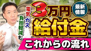 【いつ支給されるのか？】3万円、これからの流れについて 生活者・事業者に対する補助金の見通し 電気・ガス料金の負担軽減額 その他経済対策 詐欺の体験談 等〈R6年124時点〉 [upl. by Hsiri]