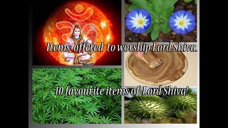 10 Items to Please Lord Shiva  Lord Shivas Favourite Offerings [upl. by Ocirne]