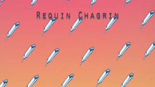 Requin Chagrin  Adelaïde [upl. by Hoxsie]