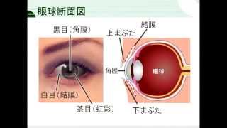 ウイルス性結膜炎 2006年07月収録 [upl. by Rehpotsrik]