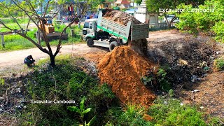 Good Activity Delete Pit By Miniature Truck Working Unloading Soil And Bulldozer D31P Push The Soil [upl. by Ettelrats]