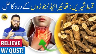 QusteShireen Ke FaydeIstemal  Costus Root Benefits  Dr Ibrahim [upl. by Nylauqcaj852]