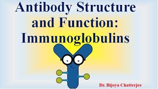 Antibody Structure and Functions [upl. by Leikeze]