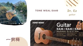 古典吉他與民謠吉他  Guitar Yifang Ko  一剪梅  編曲：董運昌（樂器：Tone Weal EA40） [upl. by Katharyn]