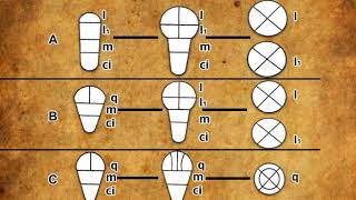 Embryogenesis and development of embryo in monocots and dicots mp4 [upl. by Berny]