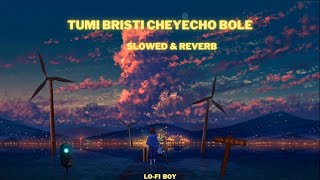 tumi bristi cheyecho bole lofi Bengali song [upl. by Analaf]