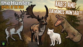 The Wildest Rares and Diamonds Montage  theHunter Call of the Wild [upl. by Jem795]