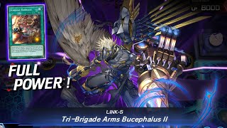 TRIBRIGADE IS BACK And Its Better Than EVER  Zoodiac TriBrigade Deck YuGiOh Master Duel [upl. by Ailecara689]